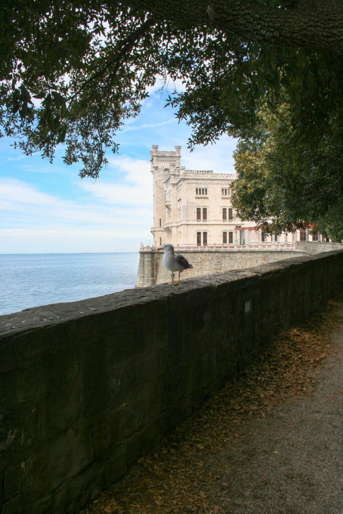 buttrio-3