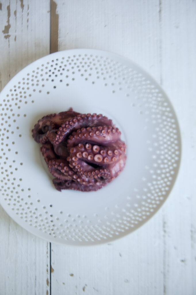pulpo