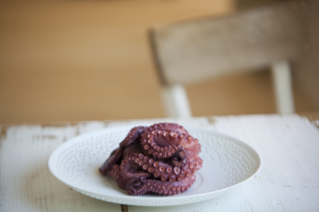 pulpo2