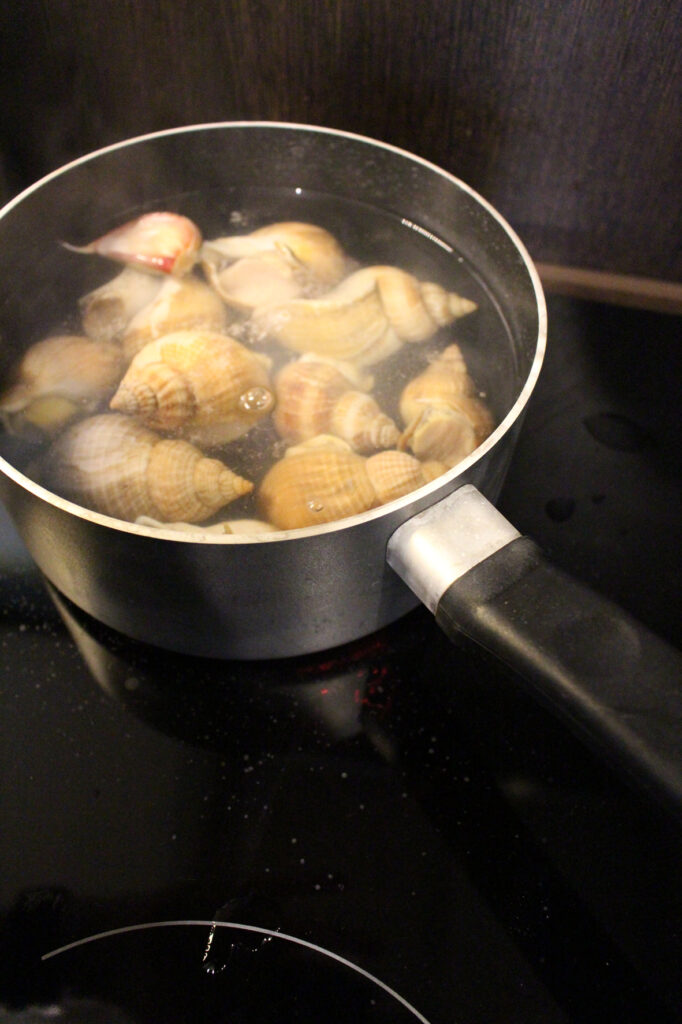 schnecken