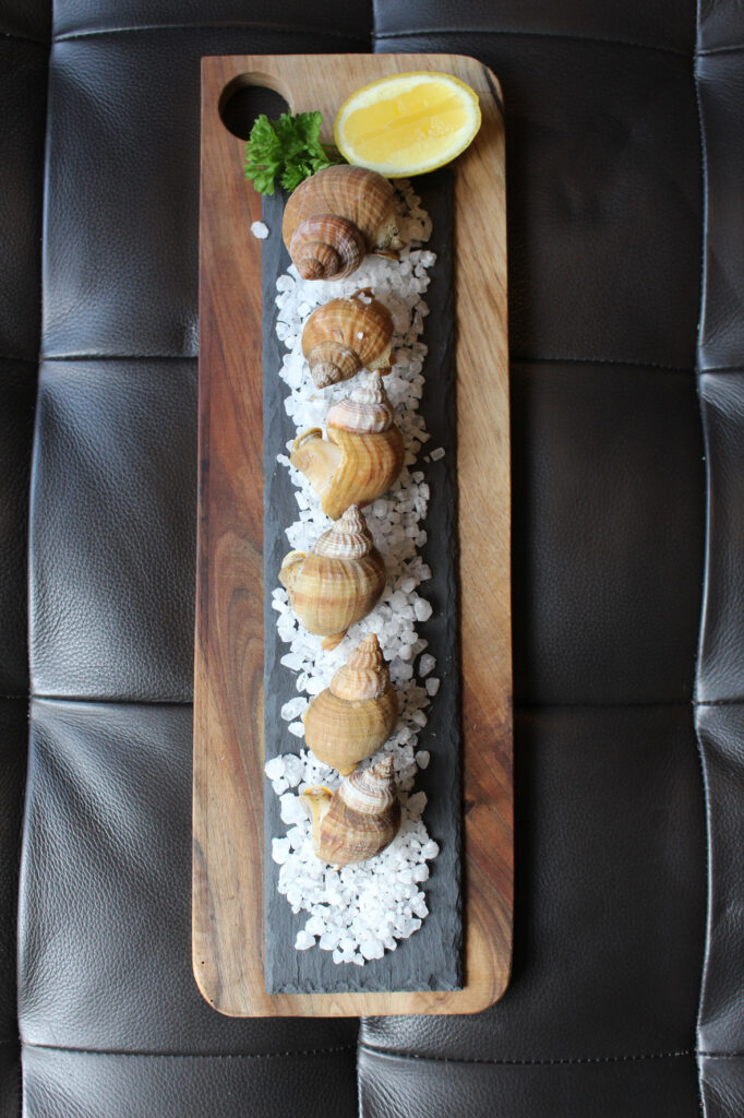 schnecken2
